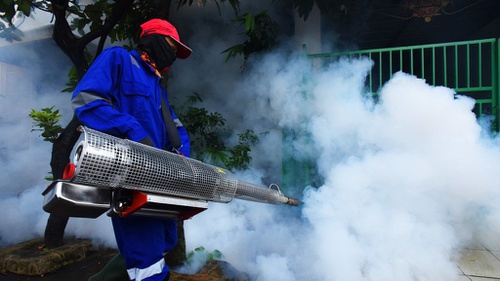 Apakah Fogging Efektif Untuk Cegah Demam Berdarah Tirto Id