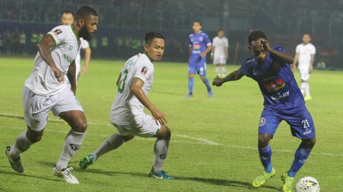 87 gambar arema babi HD - Gambar Pixabay