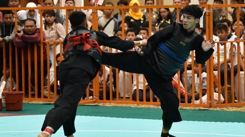 Pencak Silat Resmi Jadi Warisan Budaya Tak Benda Dunia Versi