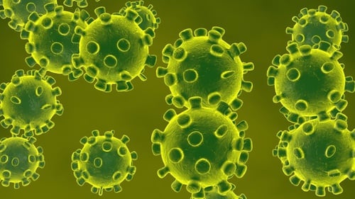 49++ Virus corona dari hewan liar new