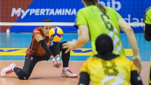 Hasil Proliga 2020 Hari Ini Dan Klasemen Voli Putra Putri Terbaru Tirto Id