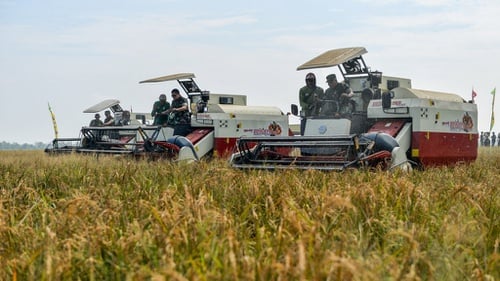 Pasukan Tempur TNI AD Dikerahkan Wujudkan Swasembada Pangan