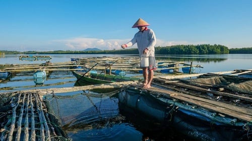 Dorong Pelaku UMKM Naik Kelas, BRI Telah Salurkan KUR Rp158,6 T