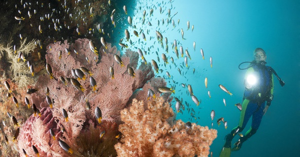 Berkah dan Musibah Alam Bawah Laut Indonesia
