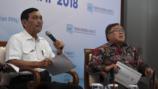 Pertanyakan Kritik ke Industri Sawit, Luhut: Salahnya Dimana?