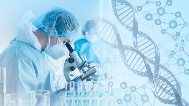 10 Contoh Bioteknologi Modern dalam Bidang Pangan