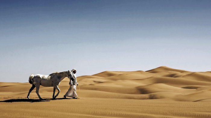 Ilustrasi. Seorang warga Arab sedang berjalan bersama kudanya di padang pasir. Foto/iStock