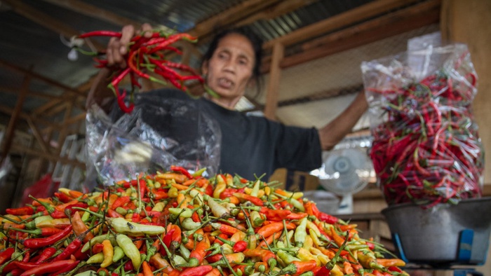 Pedagang memilah cabai di Pasar Legi, Solo Jawa Tengah, Kamis (23/1/2020). ANTARA FOTO/Mohammad Ayudha/pras.