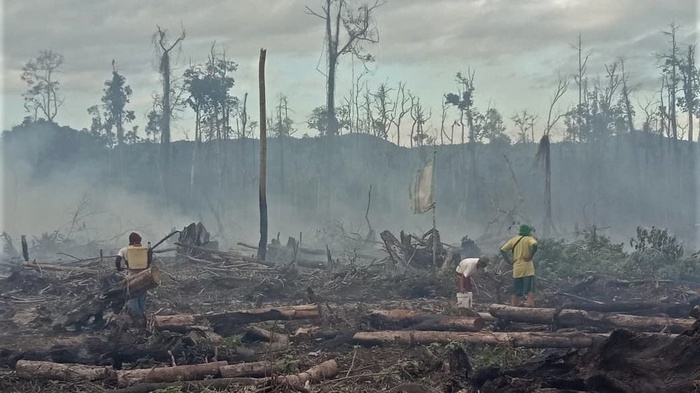 Warga dan personel Manggala Aqni melakukan pemadaman api yang membakar lahan gambut di Kelurahan Tinengi, Kecamatan Tinondo, Kolaka Timur, Sulawesi Tenggara, Rabu (19/8/2020). ANTARA FOTO/ManggalaAqni/JJ/foc.