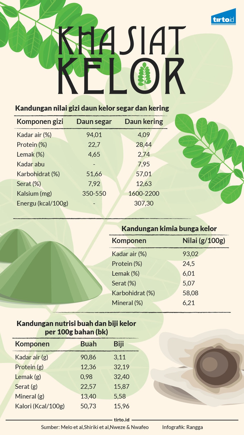 Daun Ajaib itu Bernama Kelor