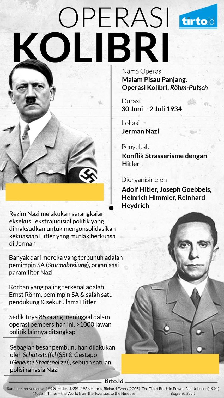 Ketika Hitler Menghabisi Ernst Rohm, Kawan Dekatnya