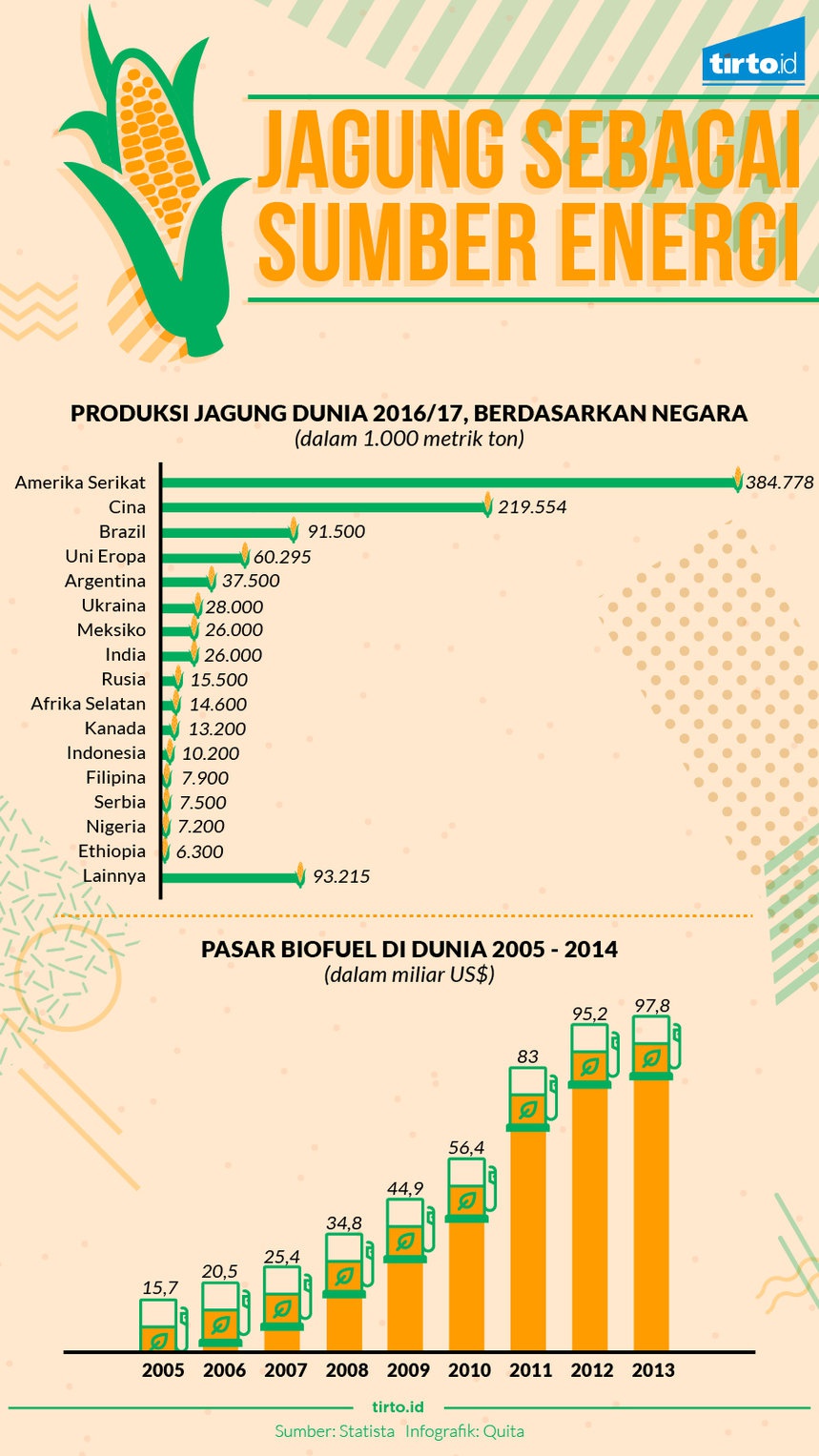 Biofuel dari Jagung, Lebih Besar Biaya dari Manfaatnya