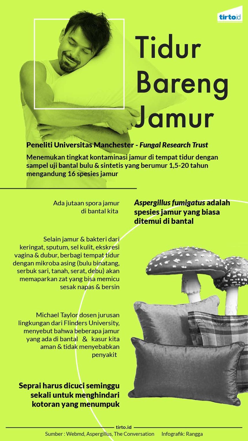 Tidur Seranjang Bersama Jamur Tidur Seranjang Bersama Jamur