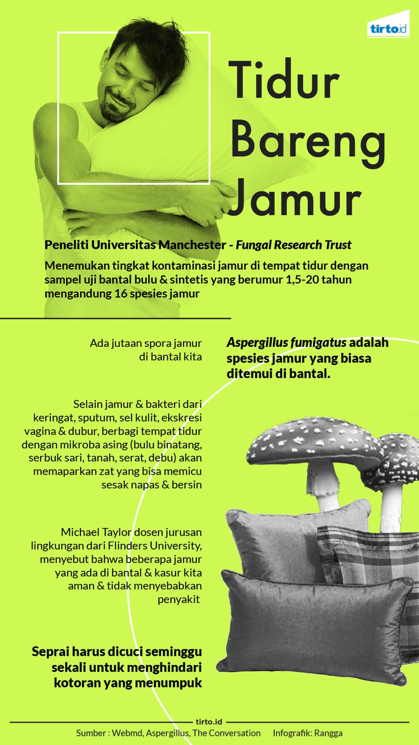 Tidur Seranjang Bersama Jamur Tidur Seranjang Bersama Jamur