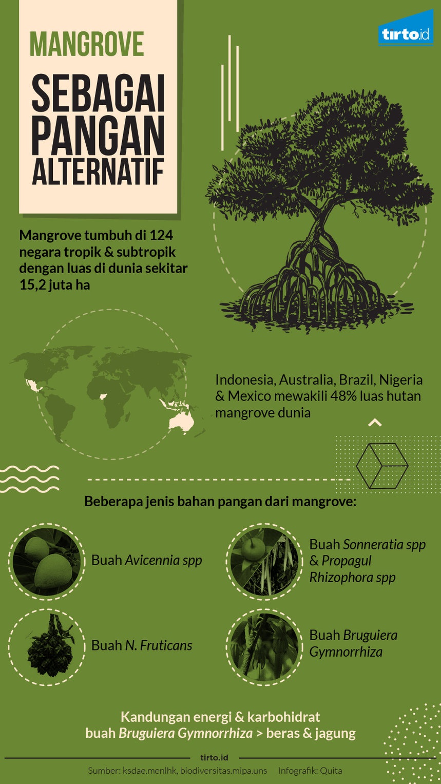 Pangan Alternatif Ada di Hutan Mangrove