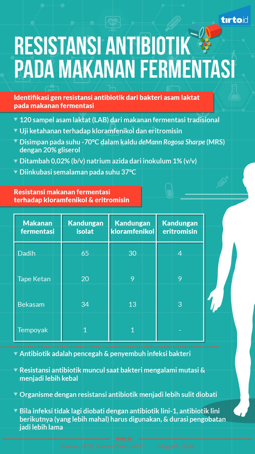 Produk Fermentasi Bisa Bikin Resistan Antibiotik - Tirto.ID