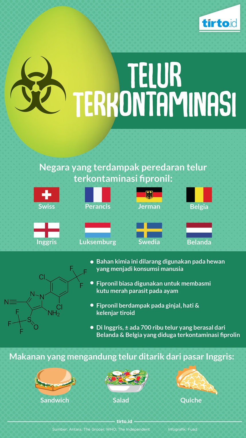 Ketika Telur Ayam Tercemar Fipronil Ketika Telur Ayam Tercemar Fipronil