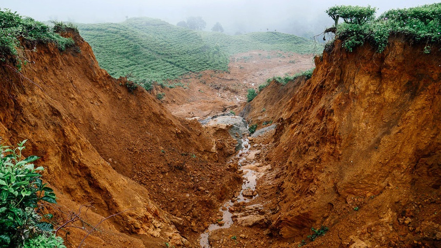 Dusta Kawasan Lindung di Hulu Ciliwung