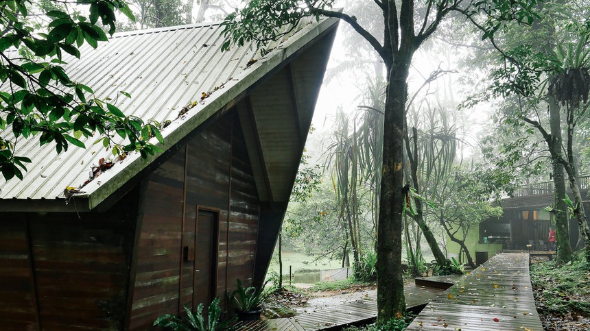 Dusta Kawasan Lindung di Hulu Ciliwung