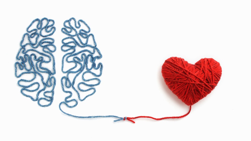 Kecerdasan Emosional Itu Penting Kenali Cara Melatihnya Tirto Id