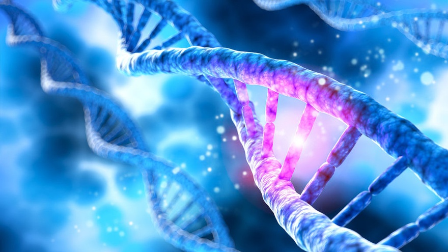 Apa Itu Gen Kromosom Dan Dna Bagaimana Cara Kerjanya Tirto Id