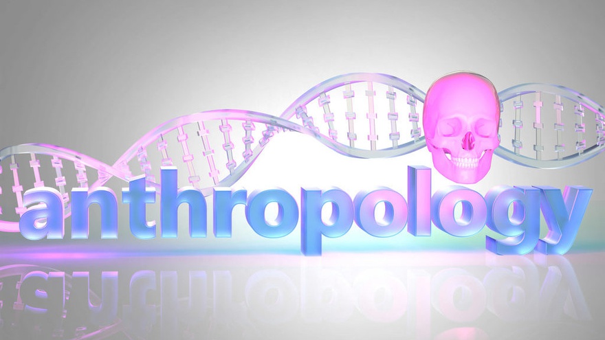 Mengenal Fase Fase Perkembangan Antropologi Tirto Id