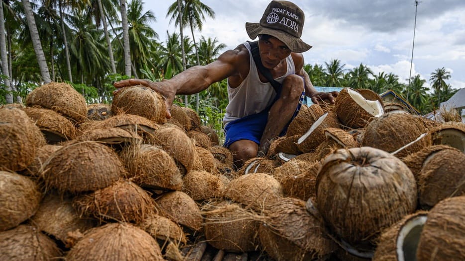 RI Kaya Kelapa, Mengapa Masih Impor Santan dari Singapura?