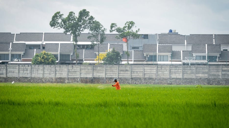 Jerat Hukum & Imbas Lingkungan di Balik Tata Ruang Asal-asalan