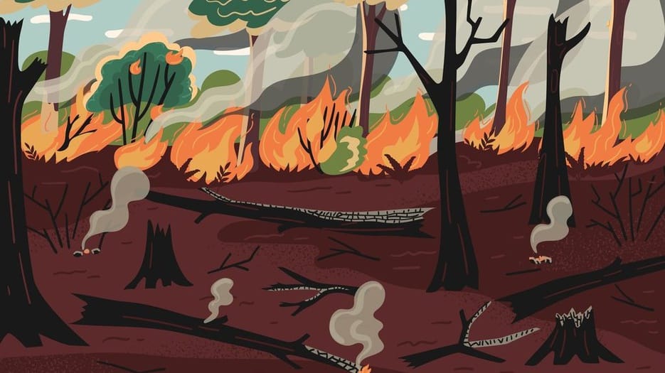 Orde Baru Menuduh Orang Dayak Membakar Hutan
