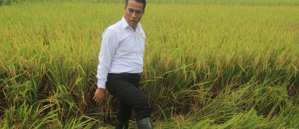 Andi Amran Sulaiman