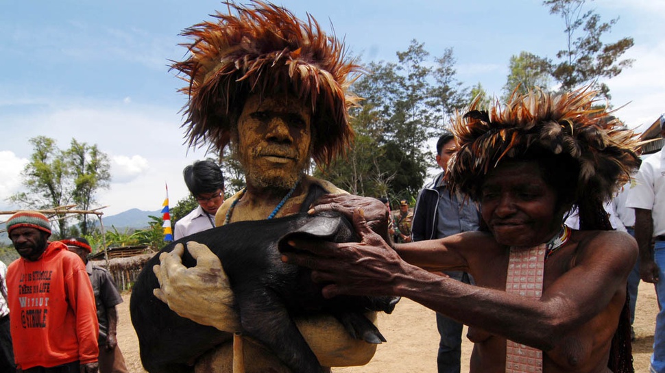 Luhut: Pelanggaran HAM di Papua akan Diselesaikan Secepatnya