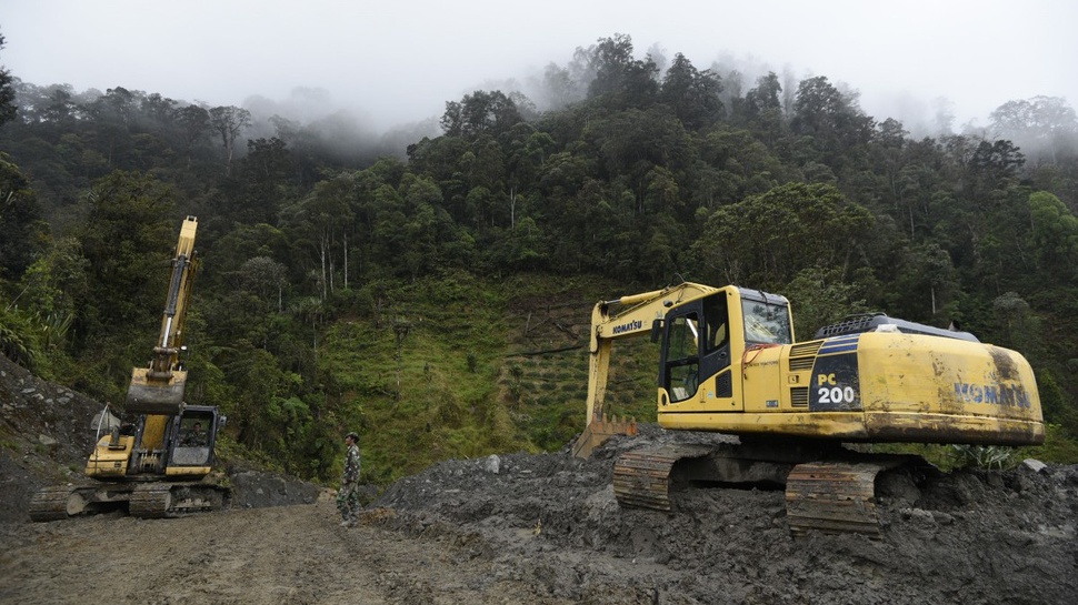 Saatnya Pemerintah dan Investor Alihkan Industri ke Papua