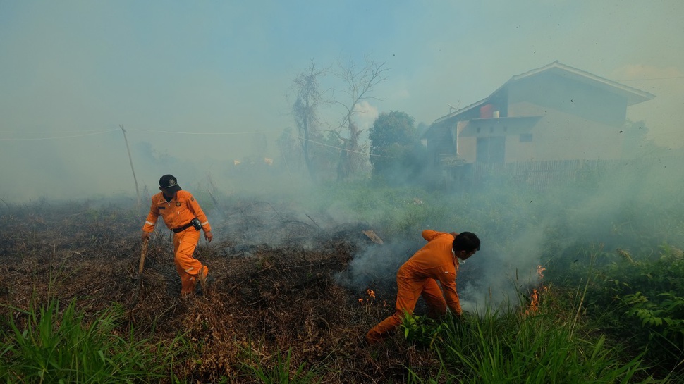 Polisi Bekuk Pelaku Pembakaran Hutan