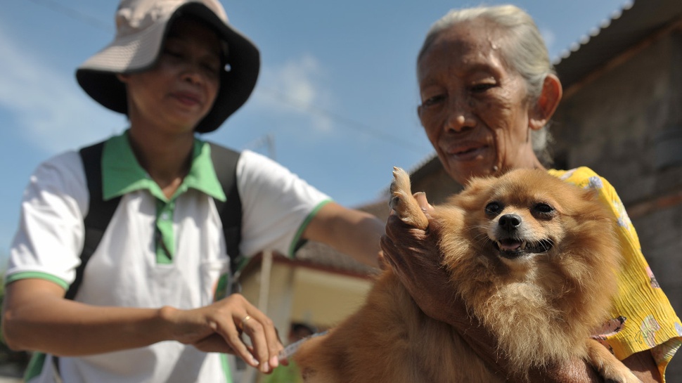 Dinkes: 101 Warga Mukomuko Digigit Anjing Rabies