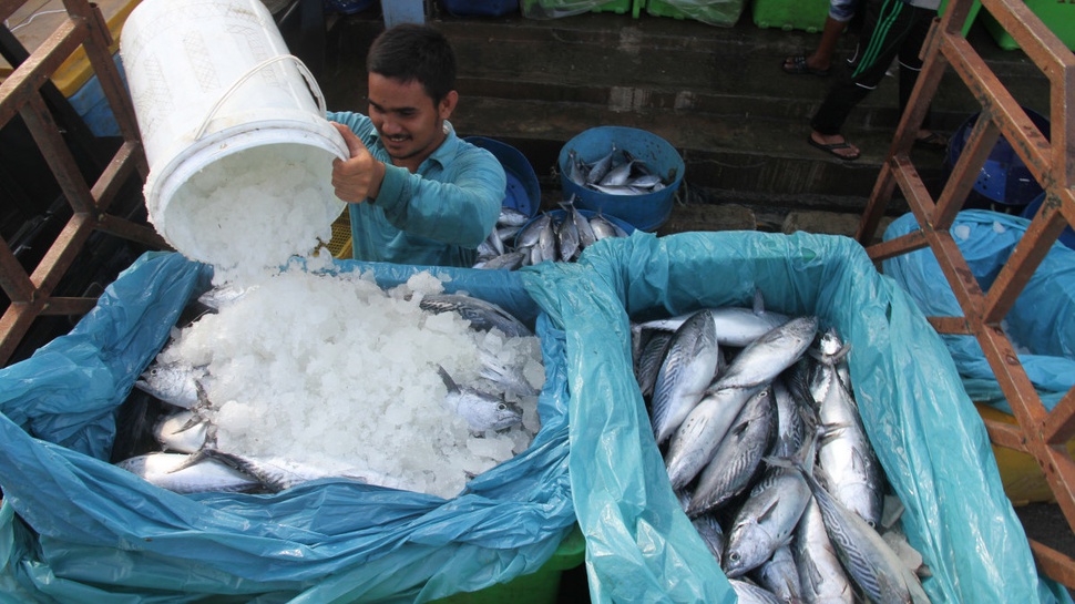 KKP Tingkatkan Potensi Perdagangan Komoditas Laut dan Ikan