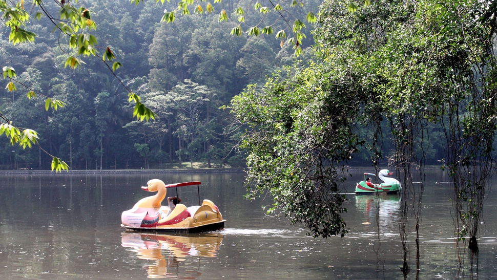 Daftar Wisata Bogor: Gunung Pancar, Situ Gede, Hingga Curug Seribu