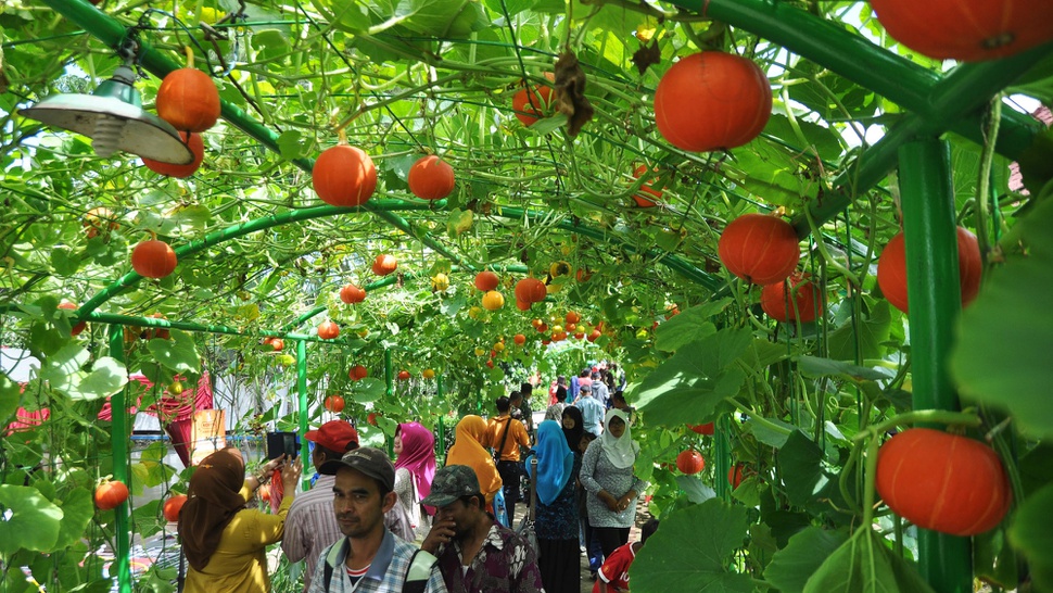 15 Prospek Kerja Jurusan Agribisnis Setelah Lulus & Besar Gaji