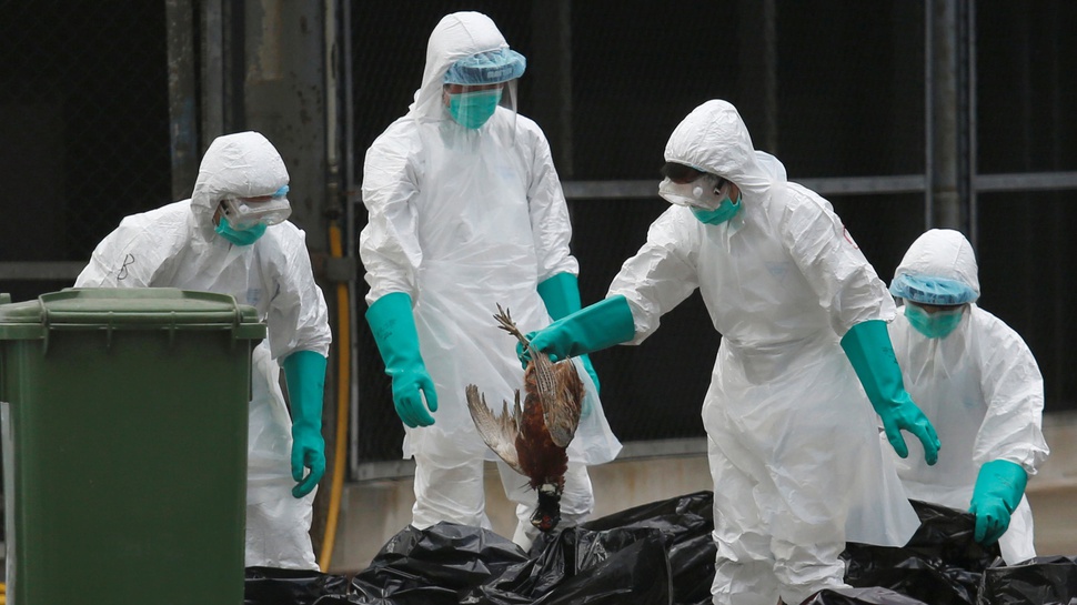 Hong Kong Waspada Flu Burung 