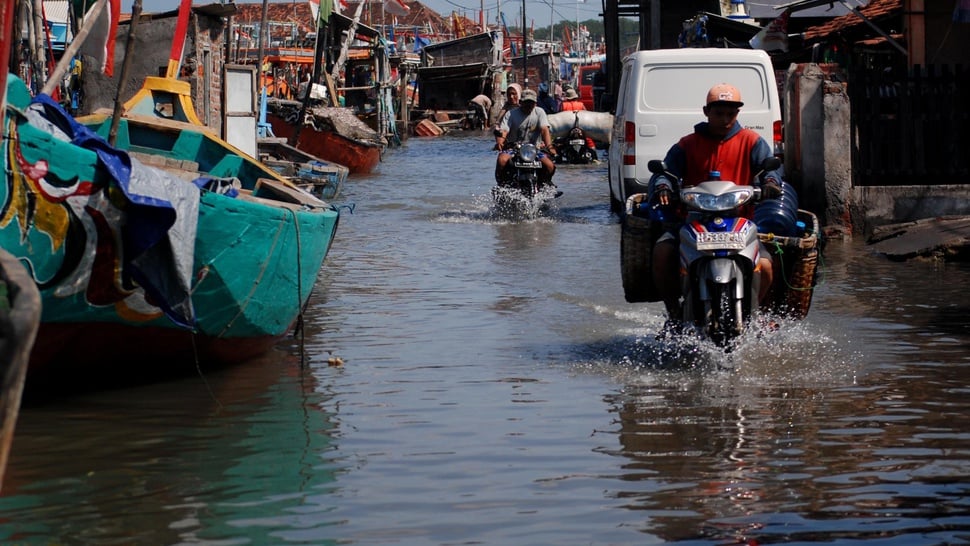 2016/06/09/TIRTO-Rob-Kampung-Nelayan-Demak-090616-app-2.JPG