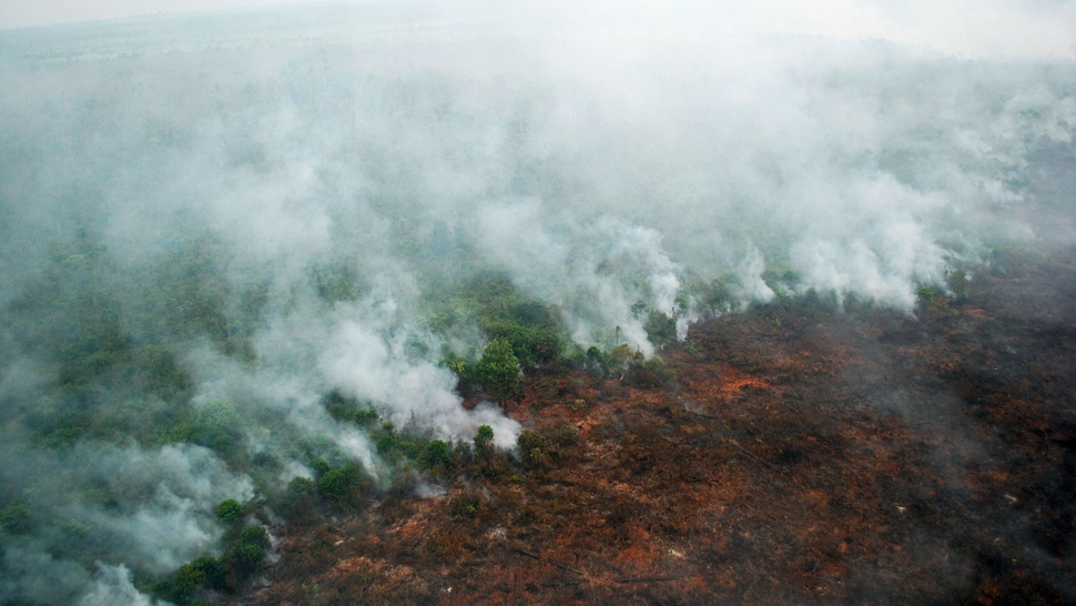 1.400 Hektare Lahan Riau Terbakar Selama Enam Bulan