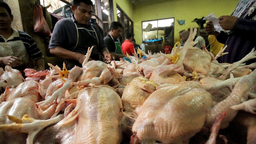 Kemendag: Harga Eceran Tertinggi Daging Ayam Rp36.750 per Kg