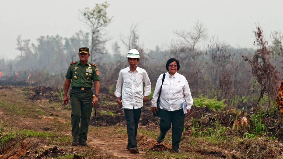 Menteri LHK: Negara Tak Diam Atasi Kebakaran Hutan di Riau