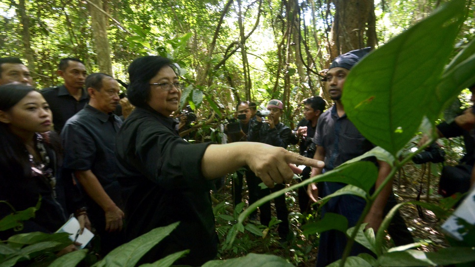 2016/08/08/TIRTO-antarafoto-hutan-adat-kajang-080816-dwf-2.JPG