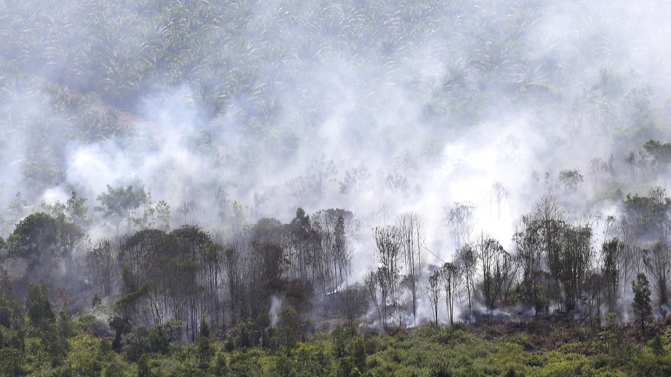 2016/08/08/TIRTO-antarafoto-kebakaran-hutan-dan-lahan-di-muba-080816-lmo-12.JPG