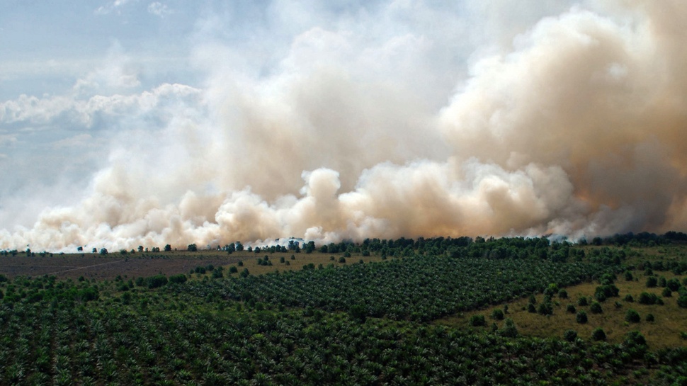 Kabut Asap di Riau Menebal, Jarak Pandang Makin Turun 