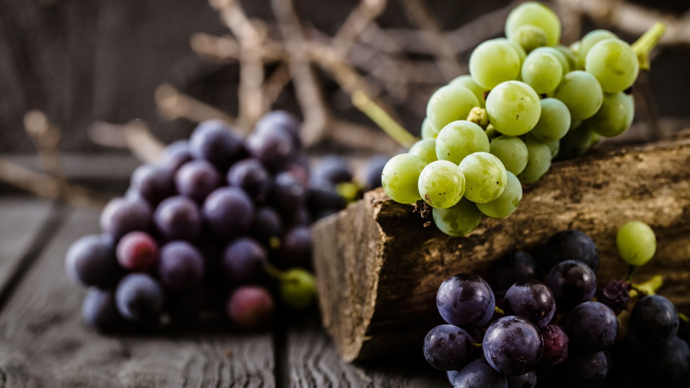 Bagaimana Cara Budidaya Anggur dan Apa Saja Tahapannya?
