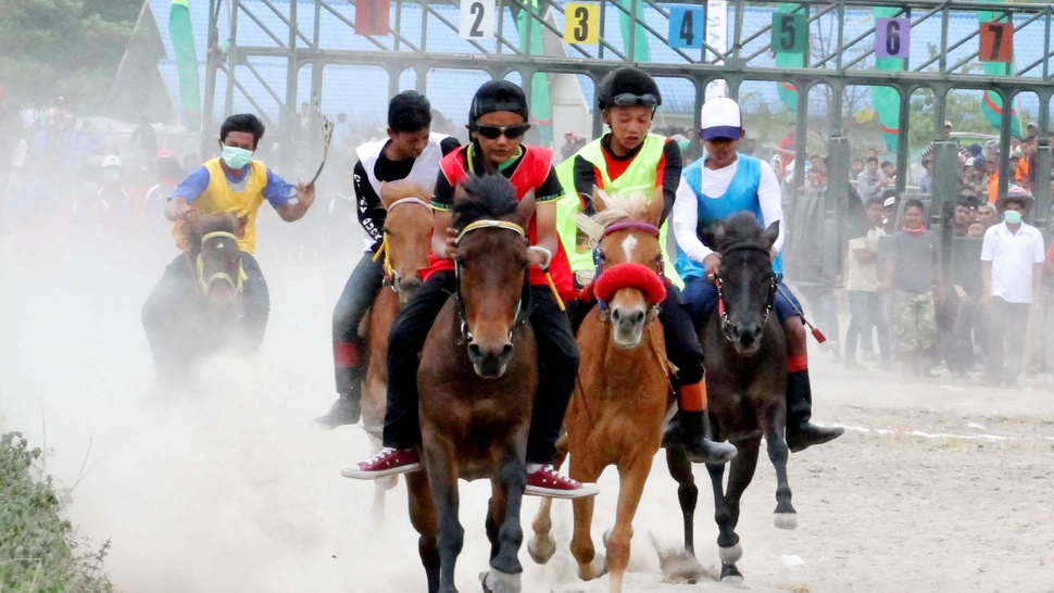 380 Kuda Unggulan  Ramaikan Pacuan Kuda Tradisional Aceh