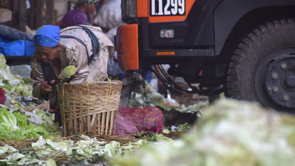 Pemulung Sayuran di Pasar Induk Kramat Jati
