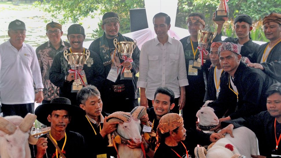 2016/08/27/TIRTO-antarafoto-presiden-gelar-lomba-domba-garut-270816-ysw-4.JPG