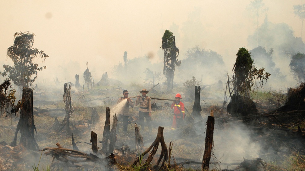 Kerugian Masif Kebakaran Hutan Indonesia